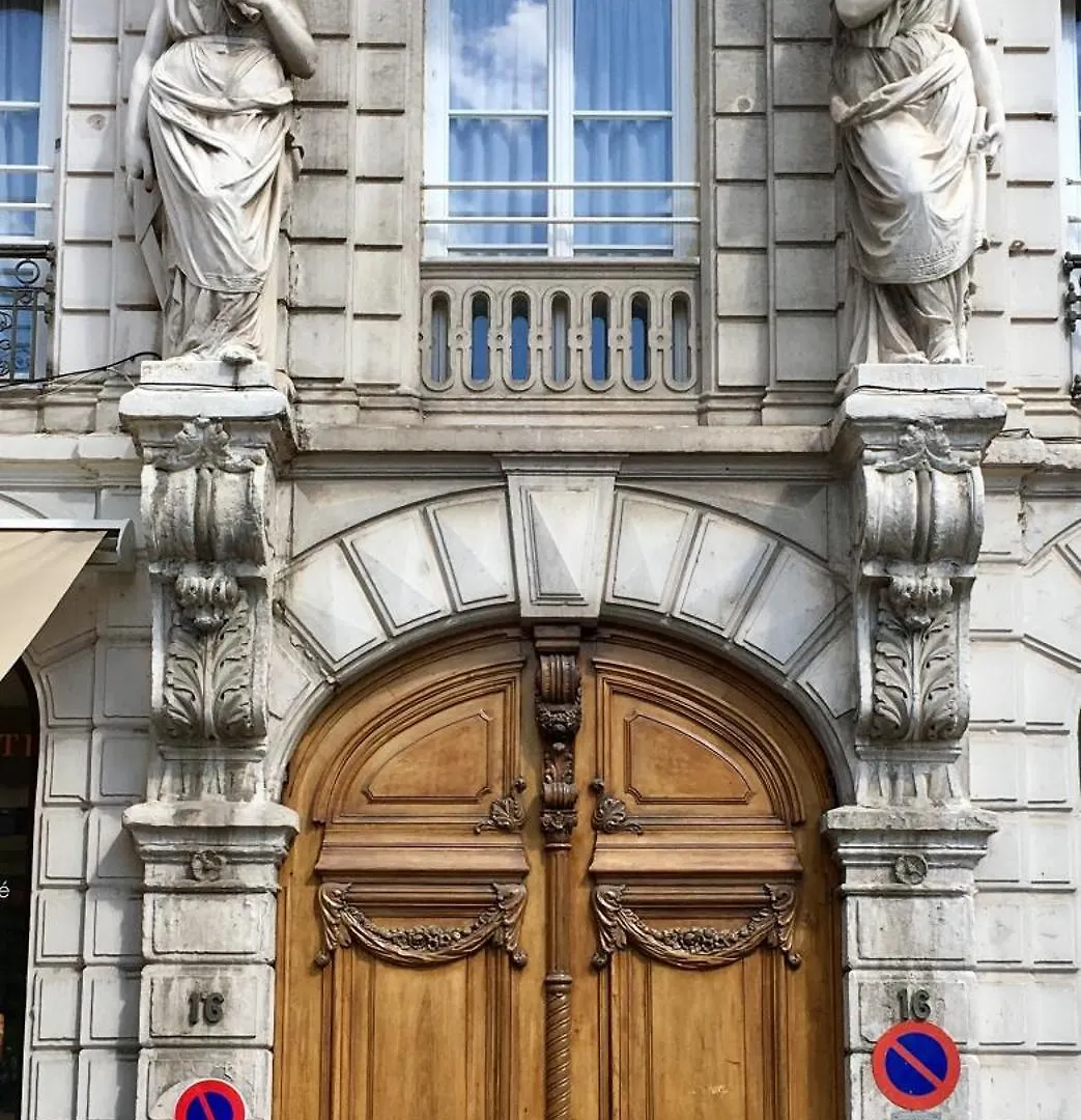 Nid Douillet Avec Vue Apartment Lyon France